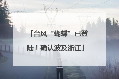 台风“蝴蝶”已登陆！确认波及浙江