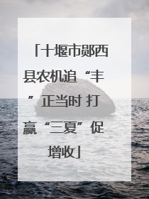 十堰市郧西县农机追“丰”正当时 打赢“三夏”促增收