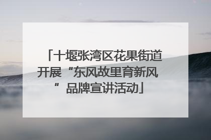 十堰张湾区花果街道开展“东风故里育新风”品牌宣讲活动