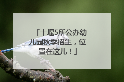十堰5所公办幼儿园秋季招生，位置在这儿！