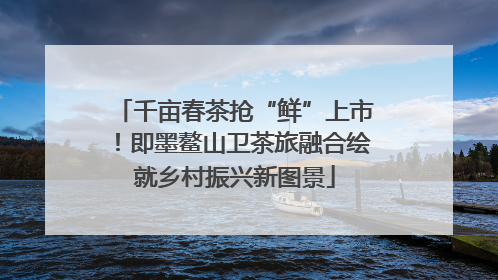 千亩春茶抢“鲜”上市！即墨鳌山卫茶旅融合绘就乡村振兴新图景