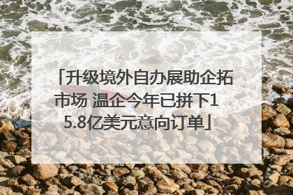 升级境外自办展助企拓市场 温企今年已拼下15.8亿美元意向订单