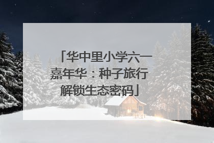 华中里小学六一嘉年华：种子旅行解锁生态密码