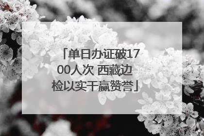 单日办证破1700人次 西藏边检以实干赢赞誉