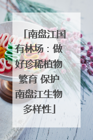 南盘江国有林场：做好珍稀植物繁育 保护南盘江生物多样性