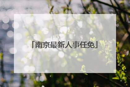 南京最新人事任免