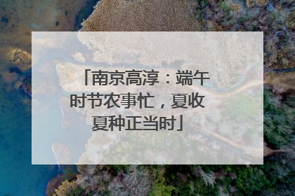 南京高淳：端午时节农事忙，夏收夏种正当时