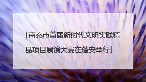 南充市首届新时代文明实践精品项目展演大赛在蓬安举行