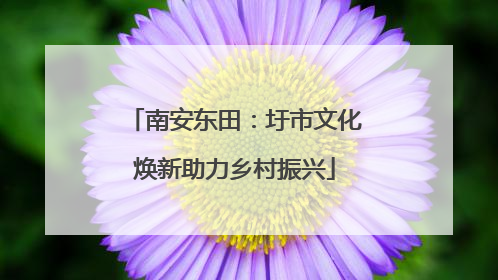 南安东田：圩市文化焕新助力乡村振兴