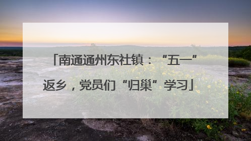南通通州东社镇：“五一”返乡，党员们“归巢”学习