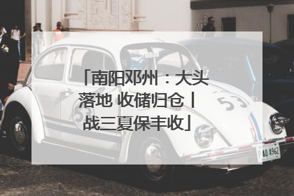 南阳邓州：大头落地 收储归仓丨战三夏保丰收
