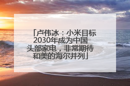 卢伟冰：小米目标2030年成为中国头部家电，非常期待和美的海尔并列
