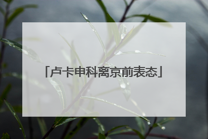 卢卡申科离京前表态