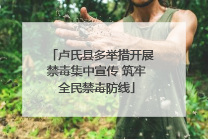 卢氏县多举措开展禁毒集中宣传 筑牢全民禁毒防线
