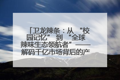 卫龙辣条：从 “校园记忆” 到 “全球辣味生态领航者”——解码千亿市场背后的产品创新与全链路破圈