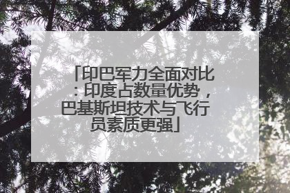 印巴军力全面对比：印度占数量优势，巴基斯坦技术与飞行员素质更强