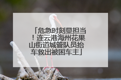 危急时刻显担当！连云港海州花果山街道城管队员抬车救出被困车主