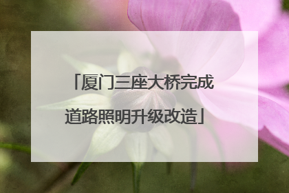 厦门三座大桥完成道路照明升级改造