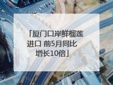 厦门口岸鲜榴莲进口 前5月同比增长10倍