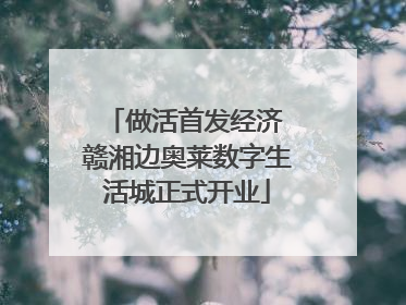 做活首发经济 赣湘边奥莱数字生活城正式开业