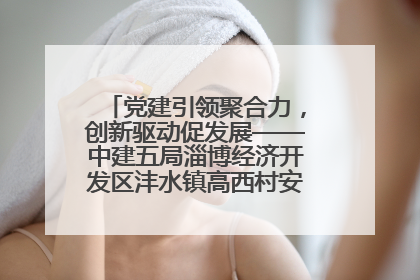 党建引领聚合力，创新驱动促发展——中建五局淄博经济开发区沣水镇高西村安置项目建设纪实