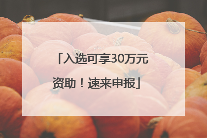 入选可享30万元资助！速来申报