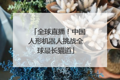 全球直播！中国人形机器人挑战全球最长猫道