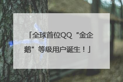 全球首位QQ“金企鹅”等级用户诞生！