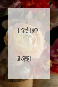 全红婵退赛