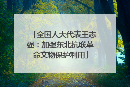 全国人大代表王志强：加强东北抗联革命文物保护利用