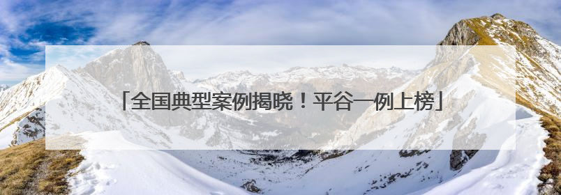 全国典型案例揭晓！平谷一例上榜