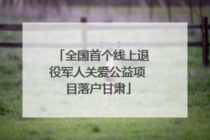 全国首个线上退役军人关爱公益项目落户甘肃