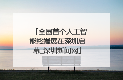 全国首个人工智能终端展在深圳启幕_深圳新闻网