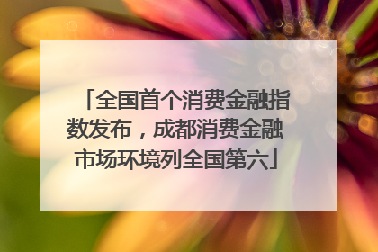 全国首个消费金融指数发布，成都消费金融市场环境列全国第六