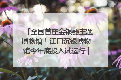 全国首座金银器主题博物馆！江口沉银博物馆今年底投入试运行｜万千气象看四川