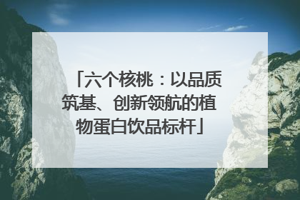 六个核桃：以品质筑基、创新领航的植物蛋白饮品标杆