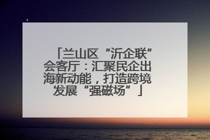 兰山区“沂企联”会客厅：汇聚民企出海新动能，打造跨境发展“强磁场”
