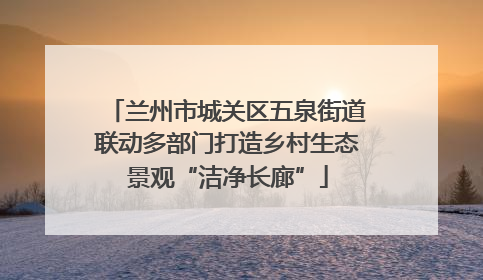 兰州市城关区五泉街道联动多部门打造乡村生态景观“洁净长廊”