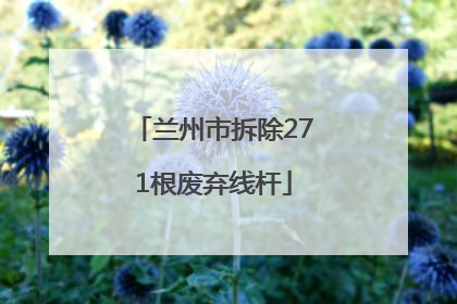 兰州市拆除271根废弃线杆