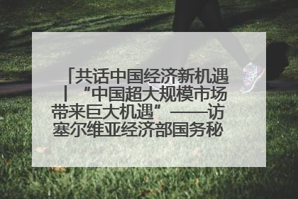 共话中国经济新机遇丨“中国超大规模市场带来巨大机遇”——访塞尔维亚经济部国务秘书尼科利奇