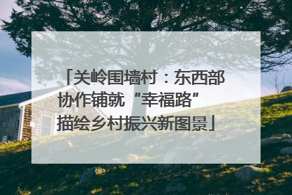 关岭围墙村：东西部协作铺就“幸福路” 描绘乡村振兴新图景