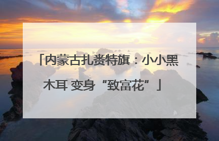 内蒙古扎赉特旗：小小黑木耳 变身“致富花”