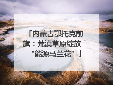 内蒙古鄂托克前旗：荒漠草原绽放“能源马兰花”