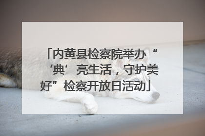 内黄县检察院举办“‘典’亮生活，守护美好”检察开放日活动