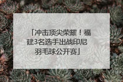 冲击顶尖荣耀！福建3名选手出战印尼羽毛球公开赛