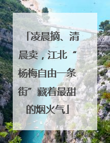 凌晨摘、清晨卖，江北“杨梅自由一条街”藏着最甜的烟火气