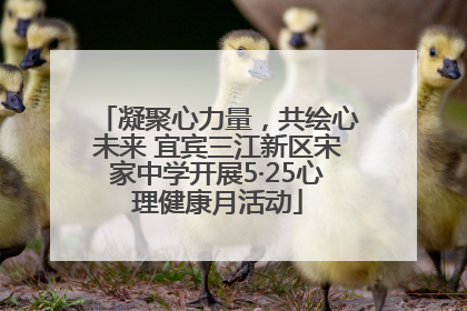 凝聚心力量，共绘心未来 宜宾三江新区宋家中学开展5·25心理健康月活动
