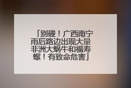 别碰！广西南宁雨后路边出现大量非洲大蜗牛和福寿螺！有致命危害