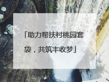 助力帮扶村桃园套袋，共筑丰收梦