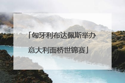 匈牙利布达佩斯举办意大利面桥世锦赛